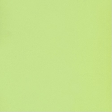 ДСП Swisspan Зелена вода 1 категорія 2750*1830*16 мм 66288