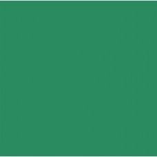 ДСП Swisspan Зелений уніколір 1 категорія 2750*1830*10 мм