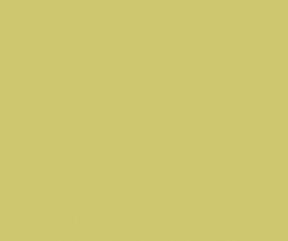 ДСП Swisspan Оливковий 1 категорія 2750*1830*10 мм